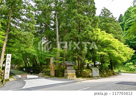新緑に包まれた山門（福井県永平寺） 117703812