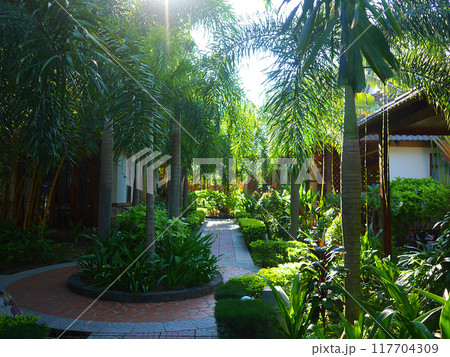 植物に囲まれたビーチリゾートホテル 117704309