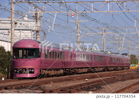 東海道貨物線を走行する485系ジョイフルトレイン「宴」_2009/12/10撮影 117704354