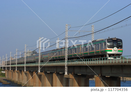 長大な編成を連ねて相模川を渡る東海道線E217系電車_2009/5/2撮影 長大な編成を連ねて相模川を渡る東海道線E217系電車_2009/5/2撮影 117704356