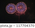 花火 117704370