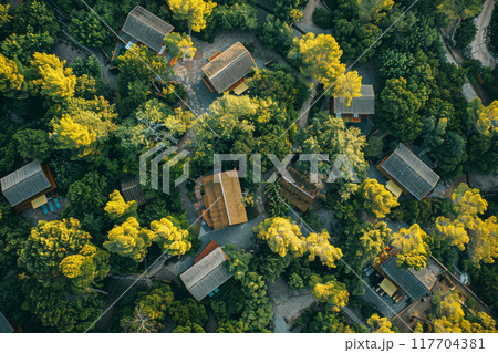 Aerial view of a secluded wellness retreat nestled in the heart of the forest, cabins and yoga 117704381