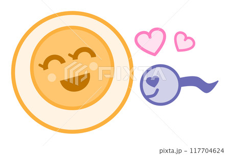 卵子と精子が受精して妊娠するイラスト 117704624