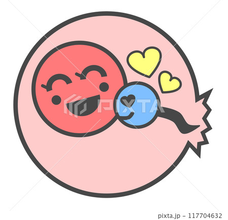 卵子と精子が受精して妊娠するイラスト 卵子と精子が受精して妊娠するイラスト 117704632