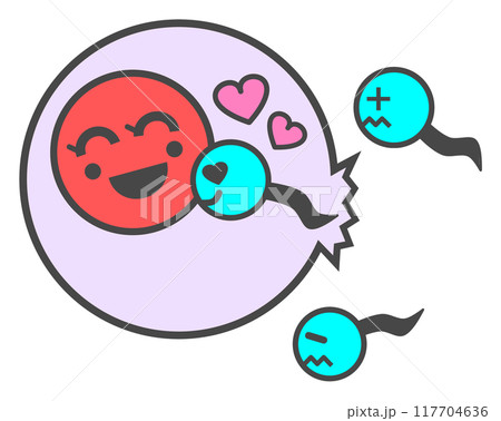 卵子と精子が受精して妊娠するイラスト 卵子と精子が受精して妊娠するイラスト 117704636