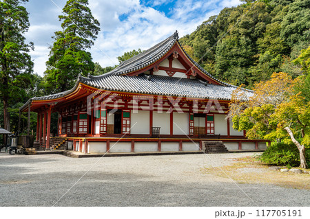 観心寺 国宝の金堂のたたずまい2 大阪府河内長野市 観心寺 国宝の金堂のたたずまい2 大阪府河内長野市 117705191