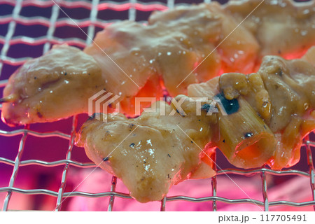 炭火で焼く焼鳥 117705491