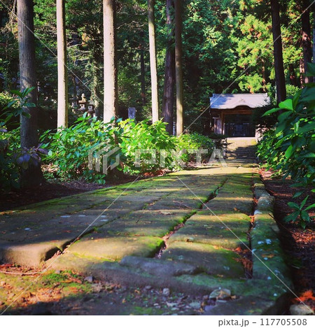 松江の月照寺 松江の月照寺 117705508