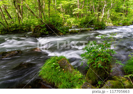 青森一人旅で訪れた奥入瀬渓流で特に有名な三乱の流れ 青森一人旅で訪れた奥入瀬渓流で特に有名な三乱の流れ 117705663