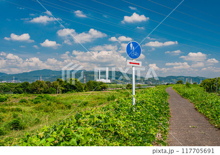 夏の淀川河川敷風景　枚方市 117705691