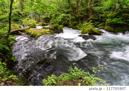 青森一人旅で訪れた奥入瀬渓流で特に有名な阿修羅の流れ 青森一人旅で訪れた奥入瀬渓流で特に有名な阿修羅の流れ 117705907