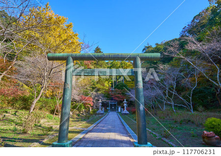 秋の神奈川県鎌倉市 建長寺の半僧坊にむかう参道の鳥居 117706231