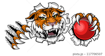 Tiger Cricket Ball Animal Sports Team Mascot 117706507
