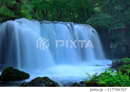 青森県　奥入瀬渓流　銚子大滝　8月 117706787