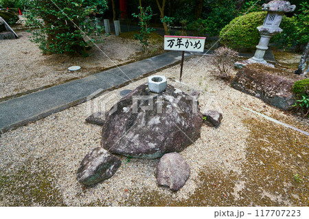 ぜにおいかめ ぜにおいかめ 117707223