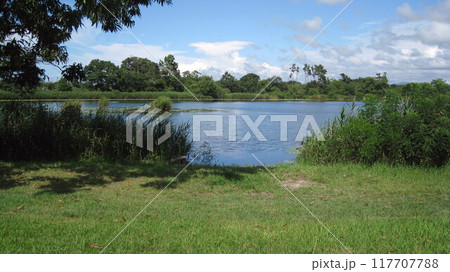 夏空広がる緑豊かな清潟 夏空広がる緑豊かな清潟 117707788