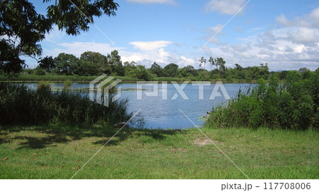 夏空広がる緑豊かな清潟 117708006