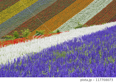 夏花のパレット 117708073