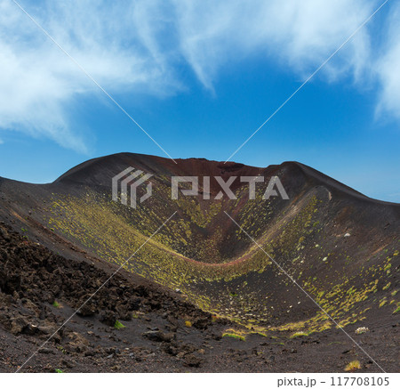 Etna volcano view, Sicily, Italy 117708105