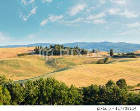 Tuscany sunrise countryside, Italy 117708114