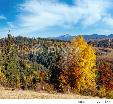 Autumn Carpathian village, Ukraine. Autumn Carpathian village, Ukraine. 117708127
