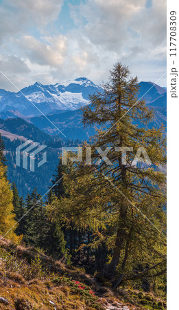 Peaceful autumn Alps mountain sunny view from hiking path from Dorfgastein to Paarseen lakes, Land Salzburg, Austria. Peaceful autumn Alps mountain sunny view from hiking path from Dorfgastein to Paarseen lakes, Land Salzburg, Austria. 117708309
