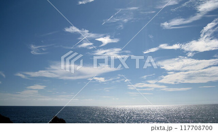 夏空広がる日本海と海岸沿いの奇岩 夏空広がる日本海と海岸沿いの奇岩 117708700