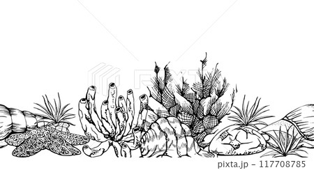 Watercolor and ink hand drawn marine life, sea ocean underwater creatures. fish, shells algae seaweed. Seamless banner illustration, stylized, isolated on white. For zoo shop, aquarium, fabric decor 117708785