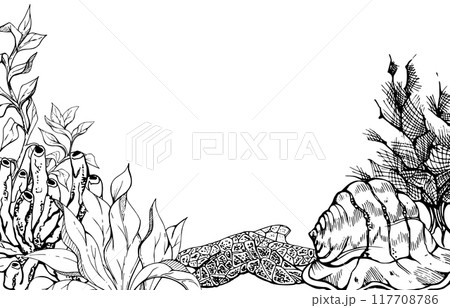 Marine life, sea ocean underwater creatures fish, shells algae seaweed, Ink and pen sketch hand drawn. Border frame illustration, stylized, isolated on white. For zoo shop, aquarium, cosmetics, resort 117708786