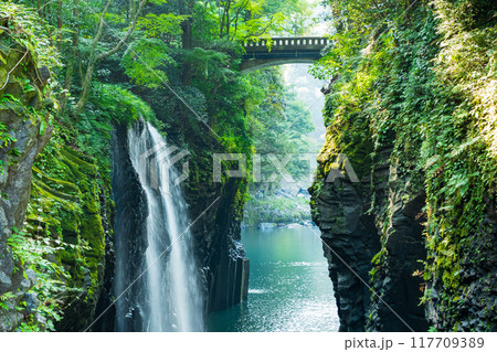 宮崎県高千穂峡の真名井の滝 宮崎県高千穂峡の真名井の滝 117709389