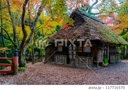 紅葉と鹿と茶屋 117710370