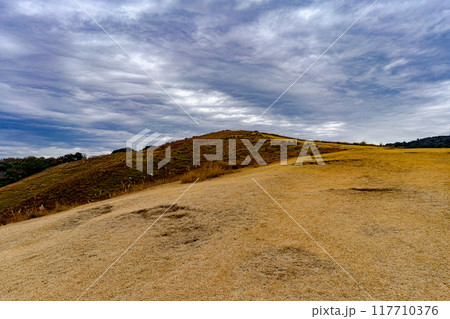 若草山から望む、秋の景色 117710376