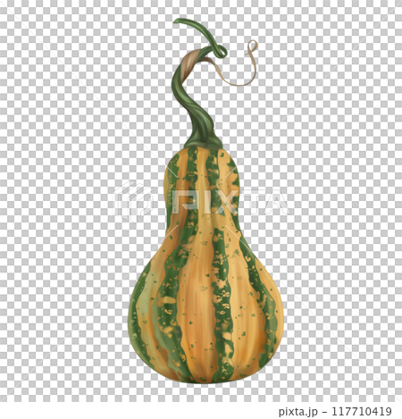 Oval yellow-green pumpkin with a stalk, autumn harvest. Fresh farm vegetables, healthy food, vegetarianism. Garden plants, agriculture. Isolated digital handmade illustration. A graphic design element Oval yellow-green pumpkin with a stalk, autumn harvest. Fresh farm vegetables, healthy food, vegetarianism. Garden plants, agriculture. Isolated digital handmade illustration. A graphic design element 117710419