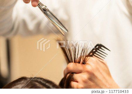 beauty parlor beauty parlor 117710433