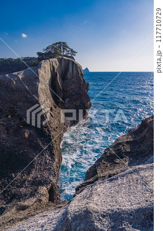 【静岡県】西伊豆堂ヶ島 亀岩の景観 【静岡県】西伊豆堂ヶ島 亀岩の景観 117710729