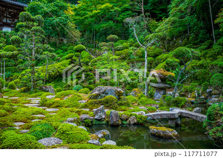 奈良県　当麻寺　西南院庭園 117711077