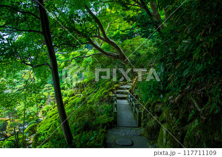 奈良県　当麻寺　西南院庭園 117711109