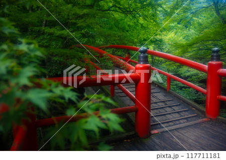 夏の伊香保温泉 緑に囲まれた河鹿橋の風景 夏の伊香保温泉 緑に囲まれた河鹿橋の風景 117711181