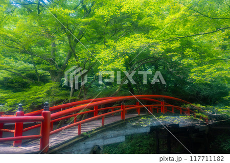 夏の伊香保温泉 緑に囲まれた河鹿橋の風景 夏の伊香保温泉 緑に囲まれた河鹿橋の風景 117711182