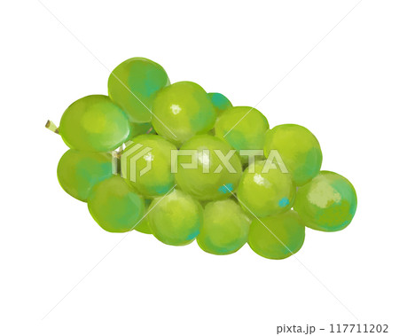 水彩風ぶどう 117711202