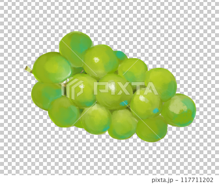水彩風ぶどう 117711202