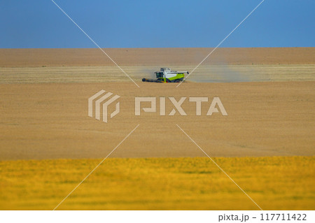 Harvesting 117711422