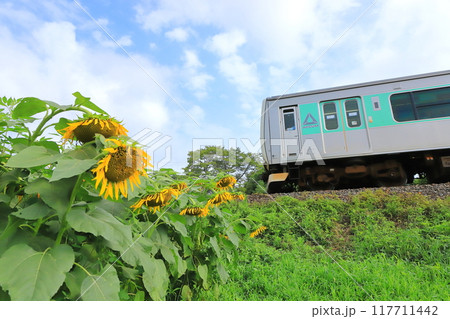 烏山線「ひまわりとアキュム」そろそろ夏の終わりの頃 117711442