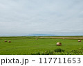 牧草ロールが広がる草原 117711653
