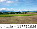 初夏の美瑛　田園風景 117711686