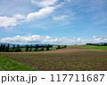 初夏の青空と広大な畑 117711687
