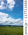 夏の青空と広い畑 117711688