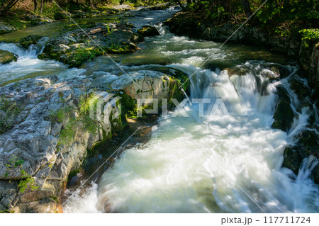 苔むした岩と清流 117711724