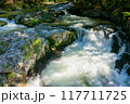 岩と清流 117711725