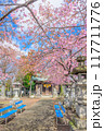 江田鏡神社の桜 117711776